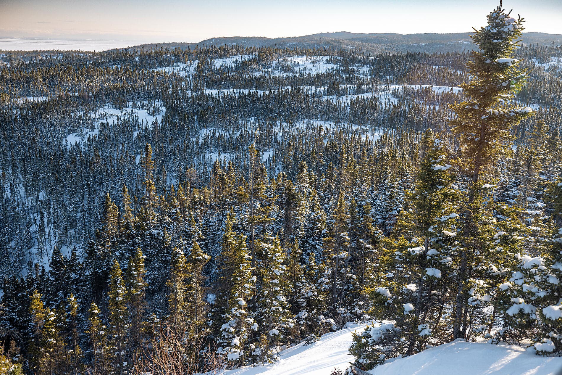 Le fleuve Saint-Laurent au cœur de l'hiver boréal