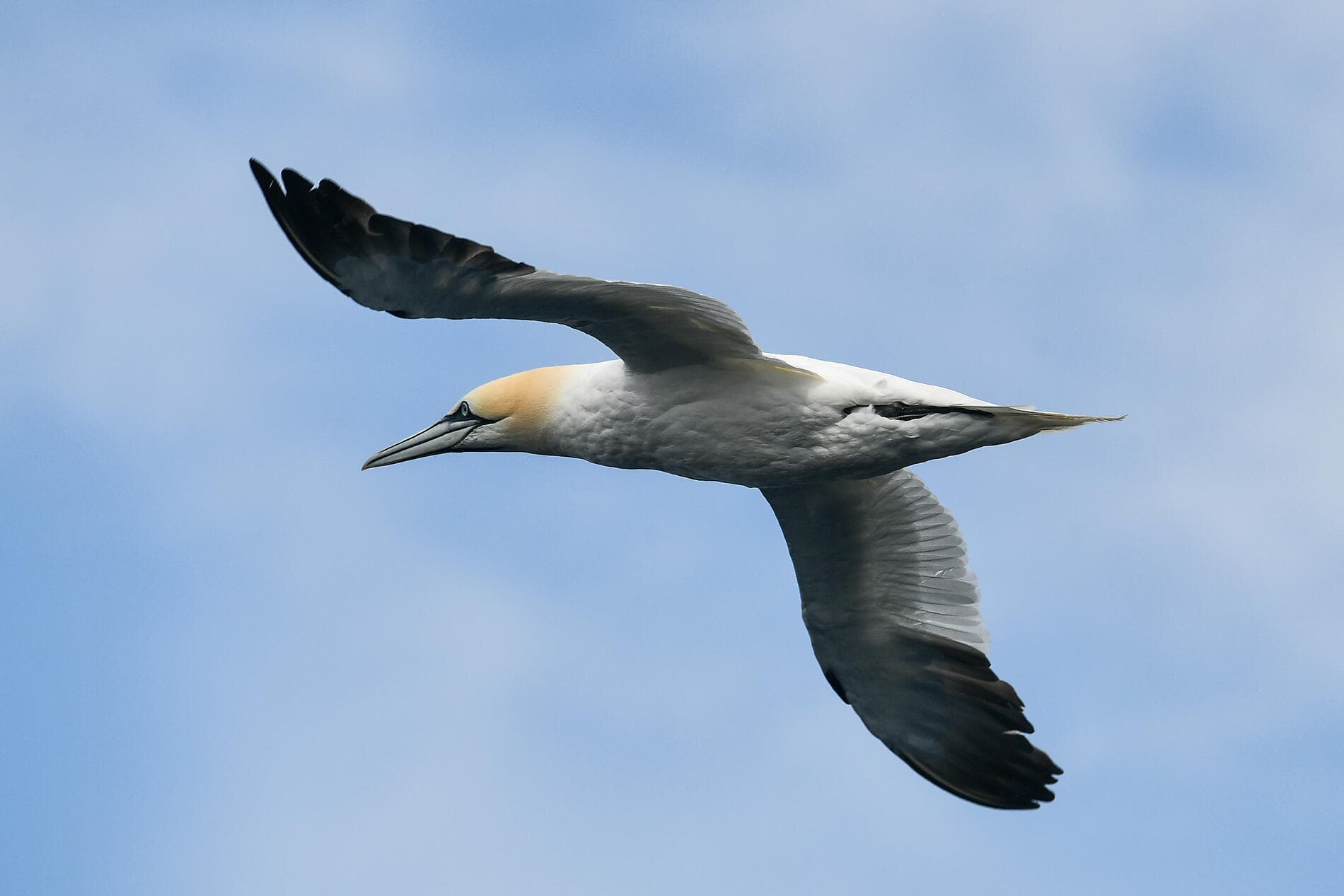 L'Islande avec Beethoven