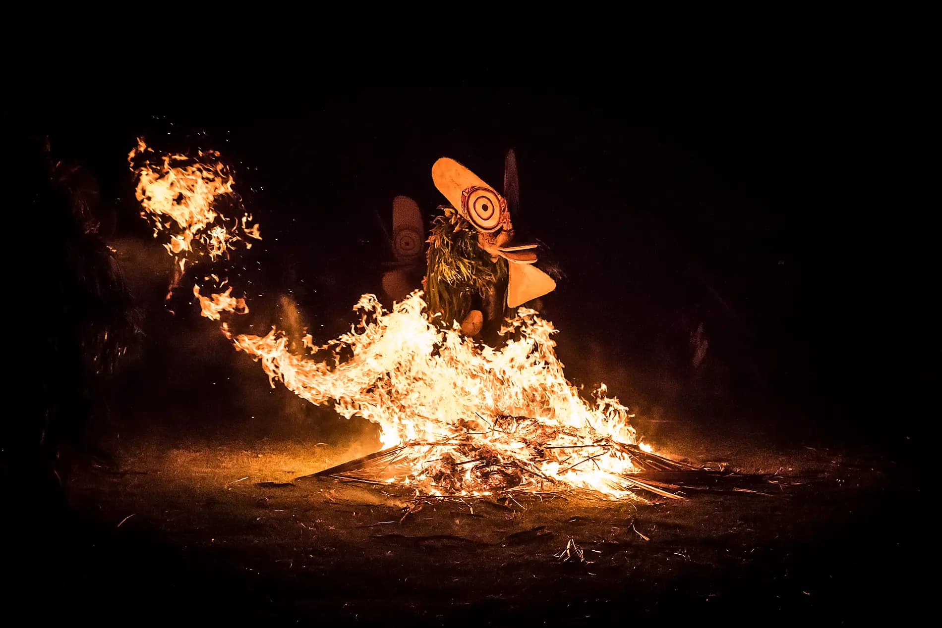 Odyssée en Nouvelle-Guinée 