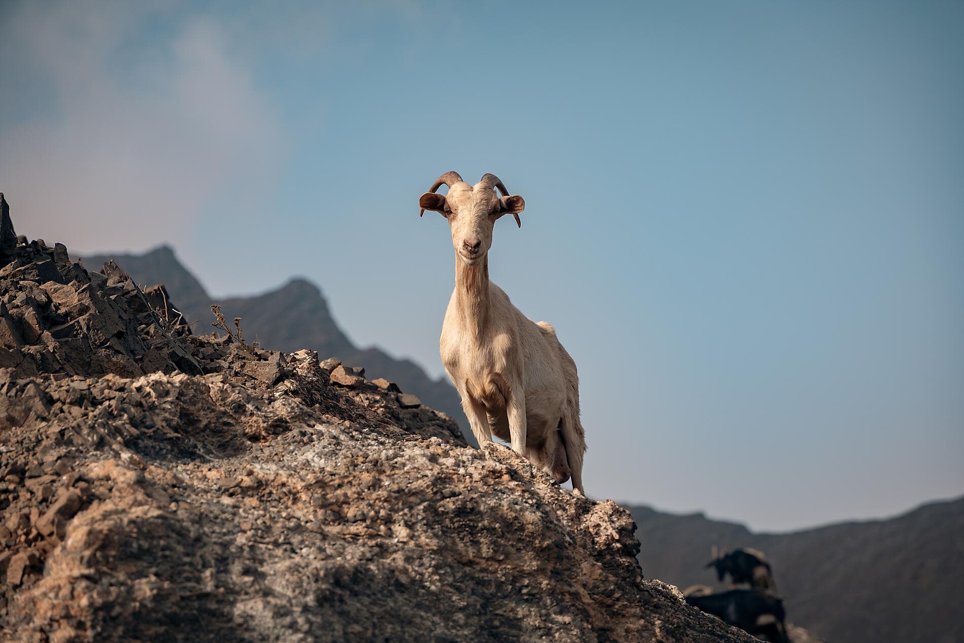 Entre volcans et océan, du Cap-Vert aux Canaries 