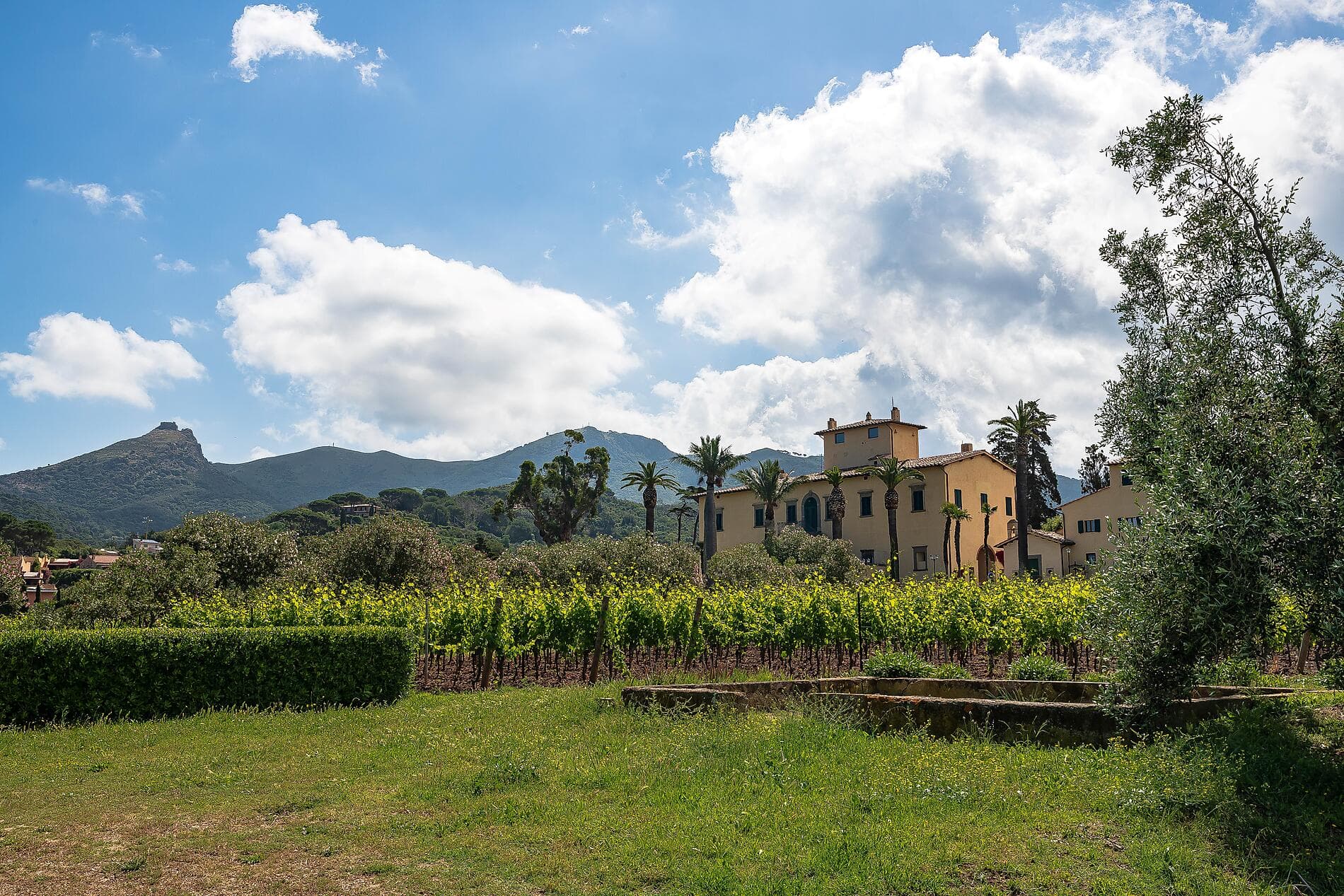 De la Cité des Anges aux rivages adriatiques  