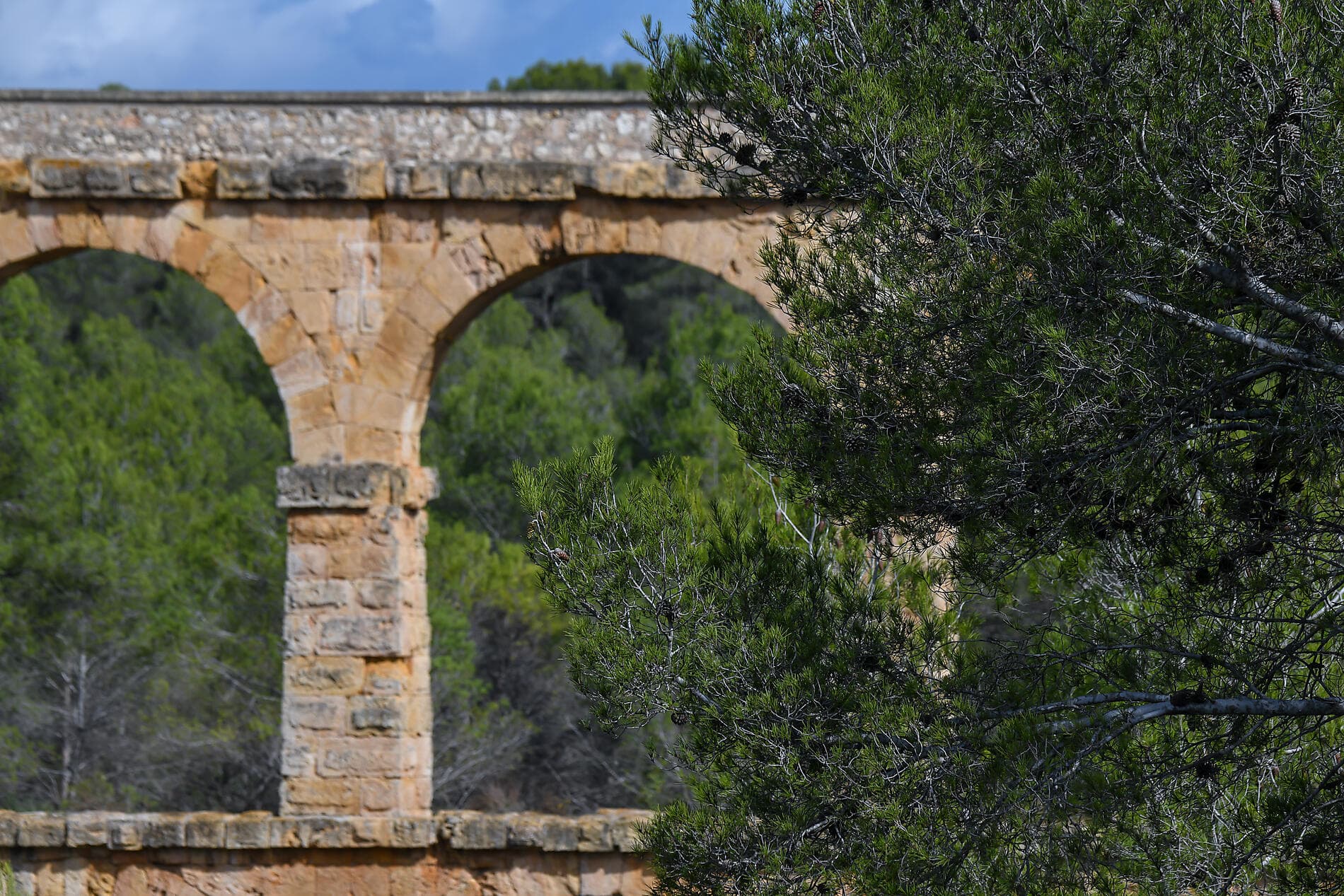 Trésors de Méditerranée au printemps