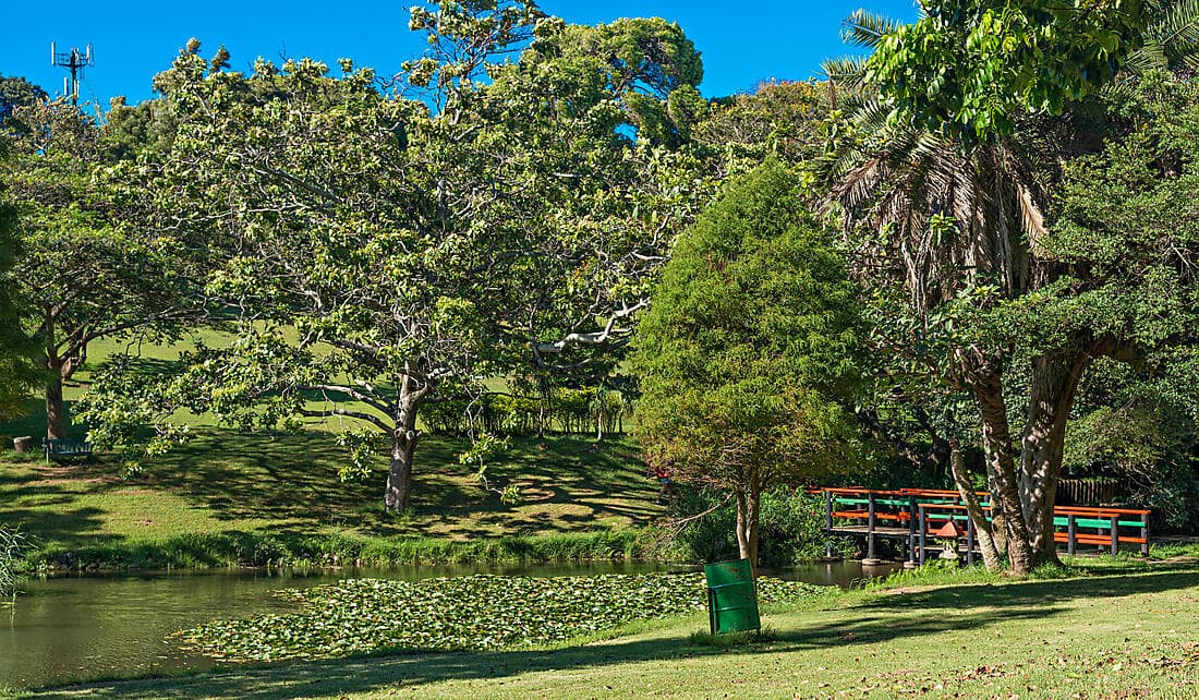 Une parenthèse raffinée à Durban : culture, nature et panoramas côtiers (1 nuit)