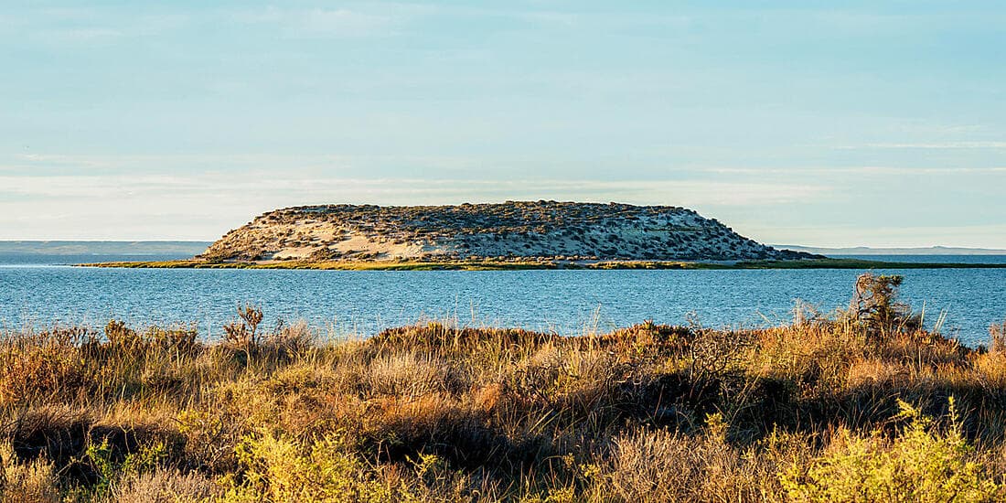 Falkland, Géorgie du Sud & péninsule Valdés : au cœur du monde sauvage