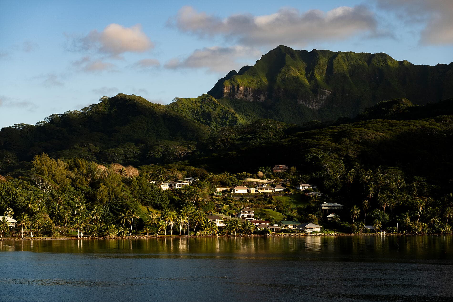 Perles des îles de la Société 