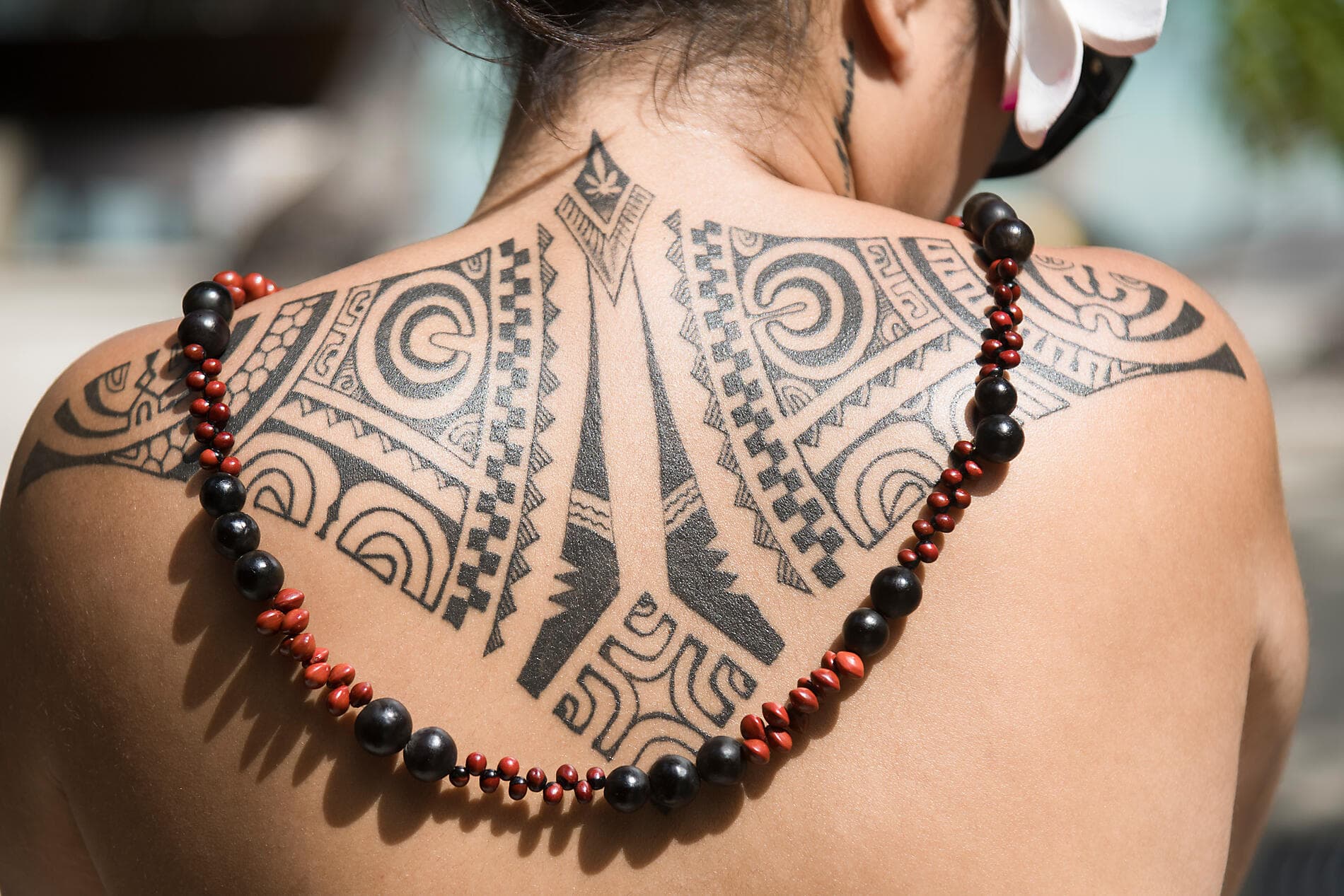 Îles Cook et îles de la Société 