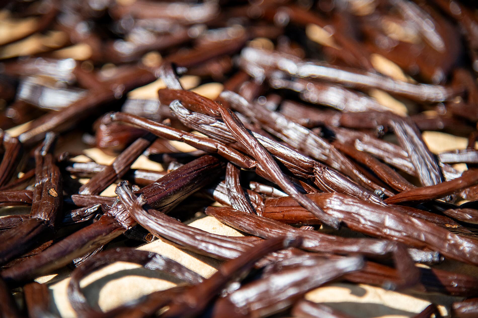 Tahiti et les îles de la Société 