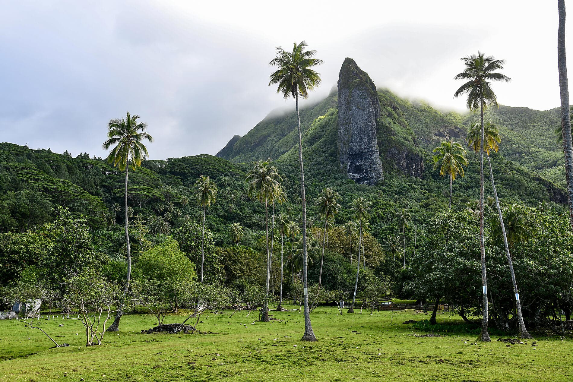 Îles de la Société et Tuamotu 