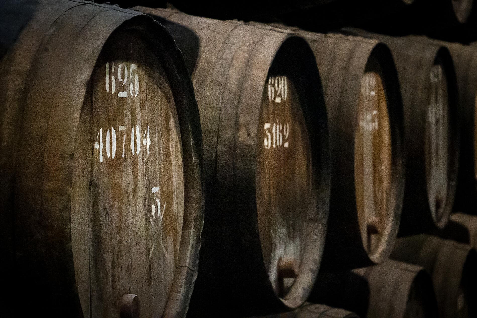 Saveurs, vignes et océan