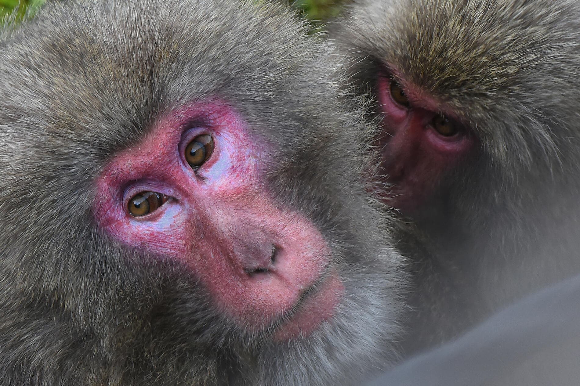 Odyssée au cœur des îles subtropicales du Japon