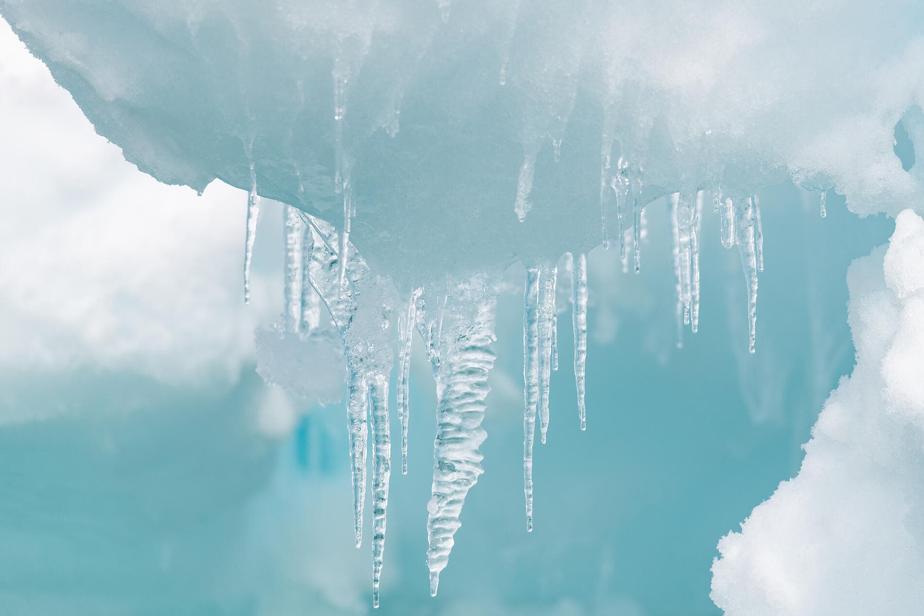 Premières rencontres et baie de Disko insoupçonnée